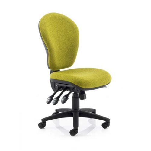 Ergo Ergonomic Chair without arms